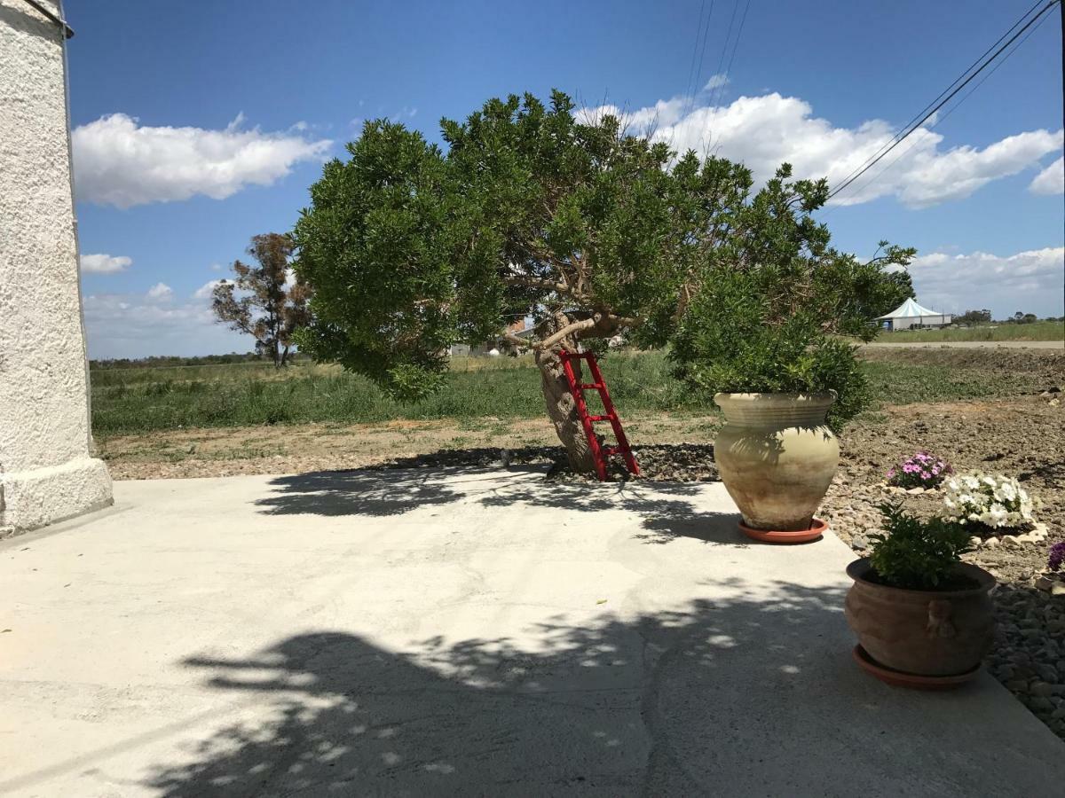 Villa Cenzina Marina Di Pisticci Bagian luar foto