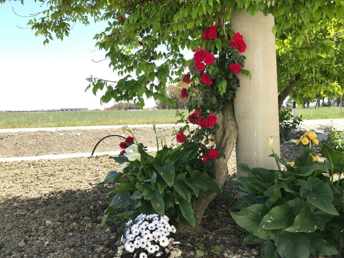 Villa Cenzina Marina Di Pisticci Bagian luar foto